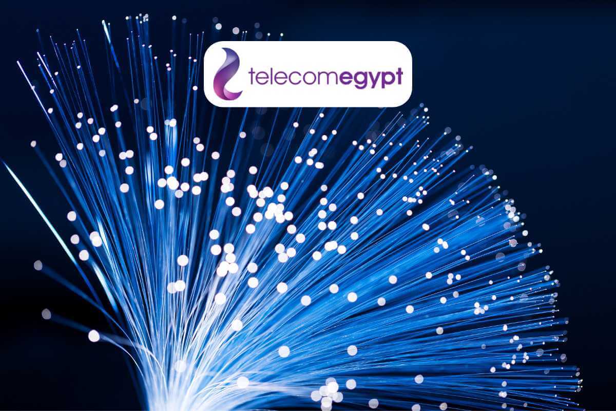 Fiber optic cables with Telecom Egypt logo.