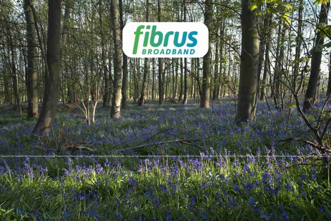 Forest with bluebells and Fibrus Broadband logo.