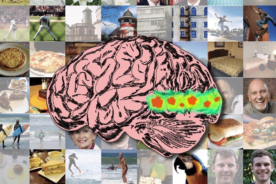 Collage of various images overlaid by illustrated brain.