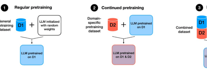 Guide on LLM Pretraining and Evaluating Reward Models