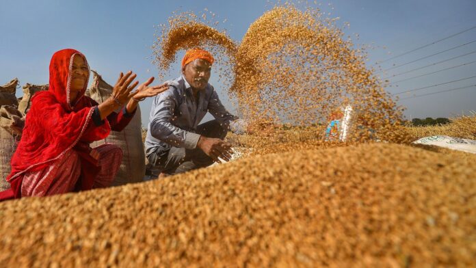 Boosting Bread Sales: Mint Primer on Import Opportunities.