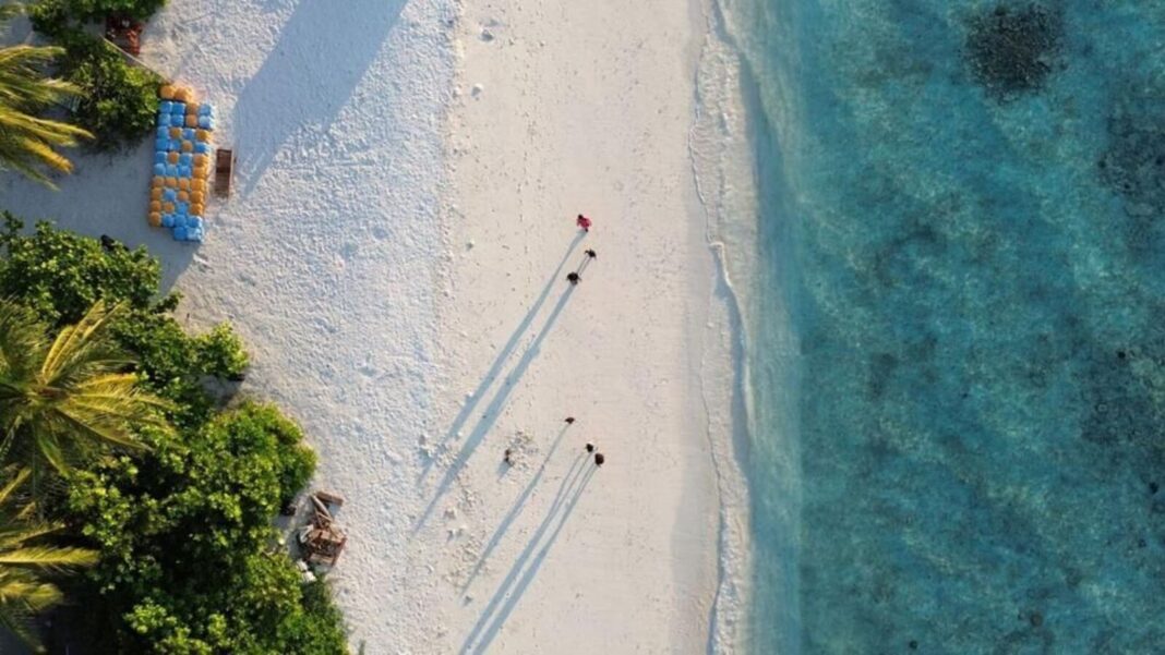 Aerial view of people on tropical beach with clear water.