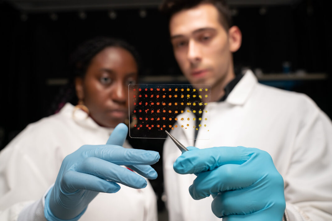 Scientists examining a microarray slide in a lab.