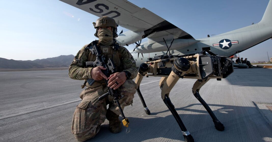 Soldier with robotic dog by military aircraft.