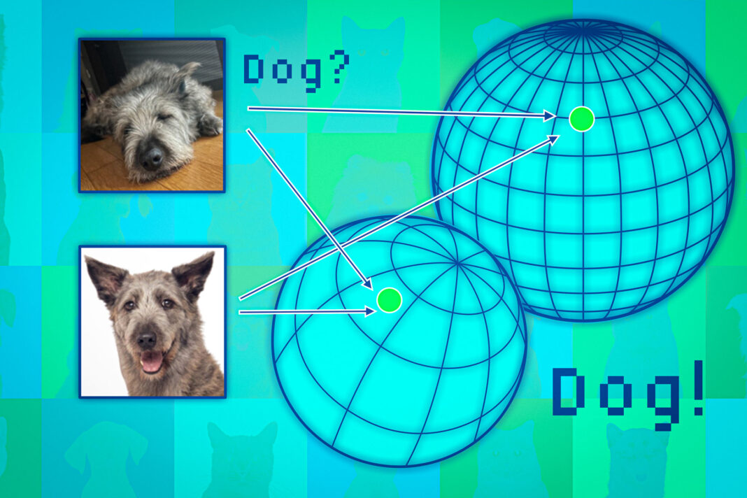 Two dogs with 3D mapping spheres and text overlays.