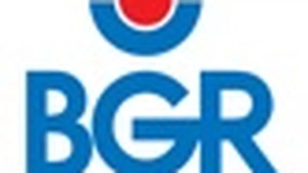Blurred company logo with blue and red colors.