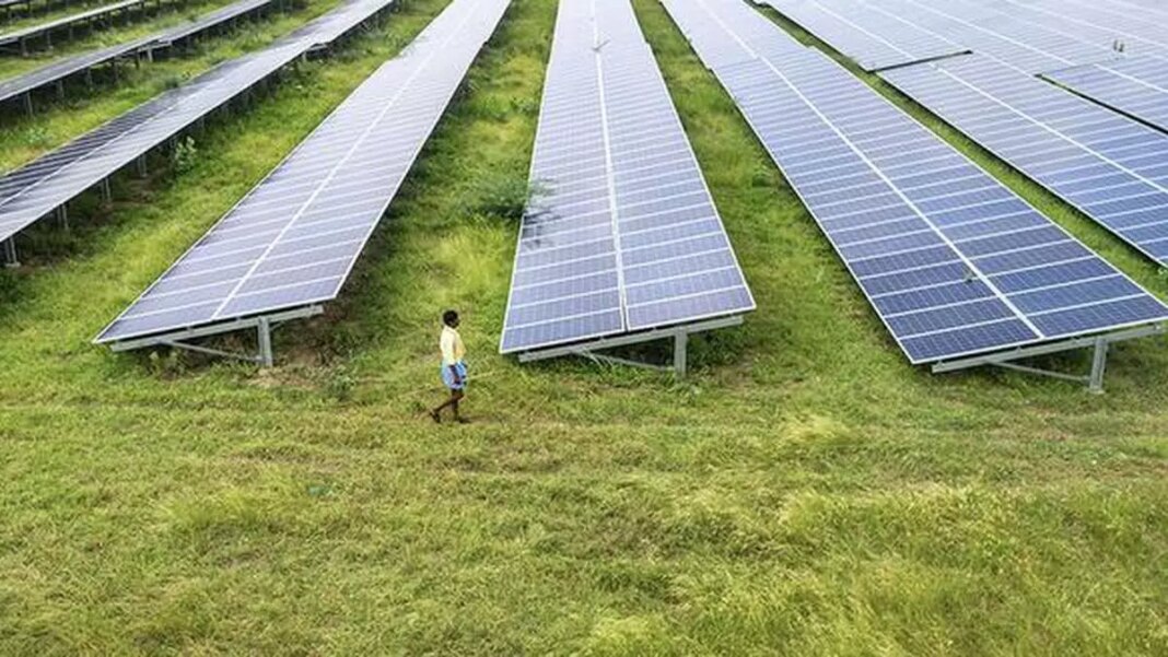 Person walking among rows of solar panels.