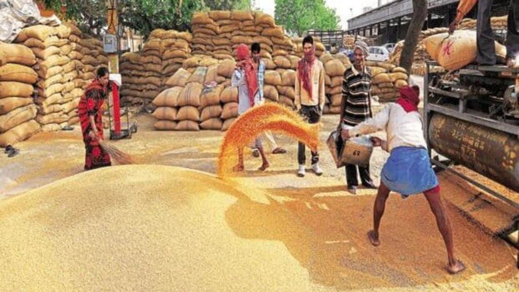 Workers unloading grain at market.