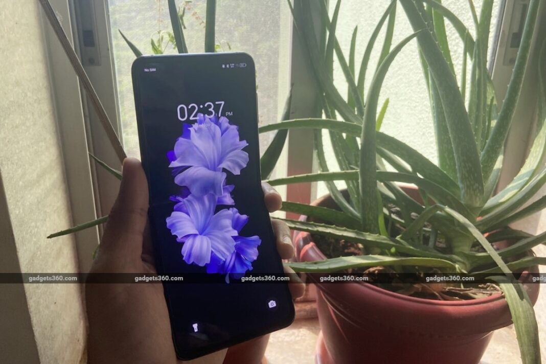 Smartphone with floral wallpaper held before potted aloe plant.