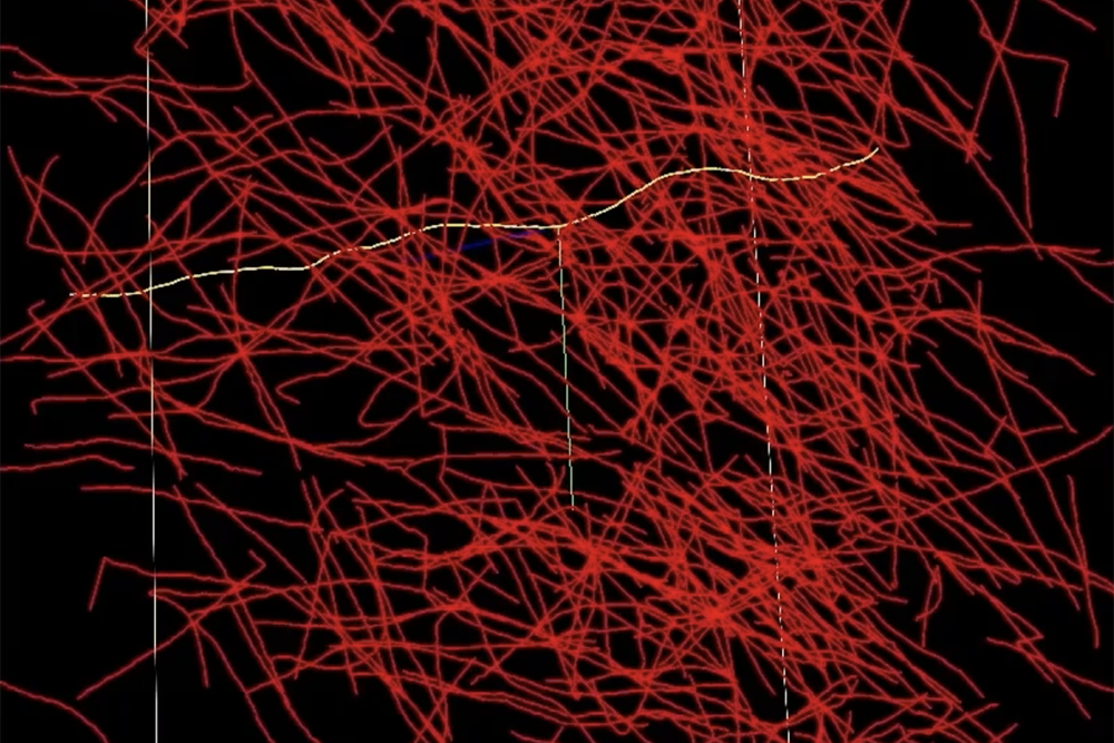 Abstract red scribbles on black background.