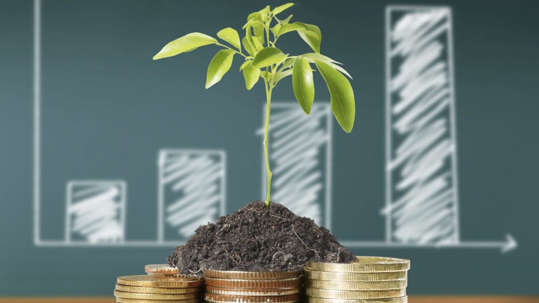 Plant growing from coins, financial growth concept.