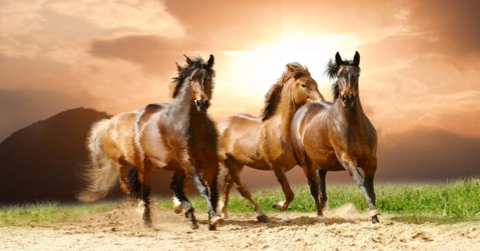 Embracing the Age of Deep Doubt: A New Reality Unfolds