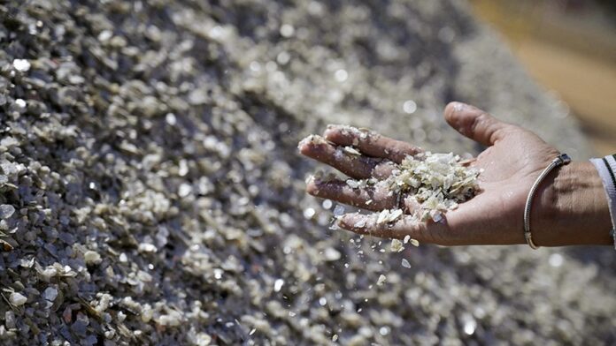 ONGC Videsh, Oil India, Khanij Bidesh Partner with UAE Firm on Minerals MoU