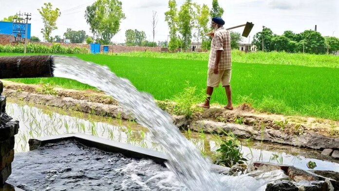 Signet Industries Wins Major Micro-Irrigation Project in Andhra Pradesh, Shares Rise
